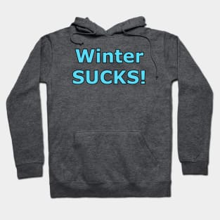 Winter Sucks Hoodie